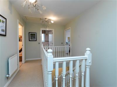 Picture 21